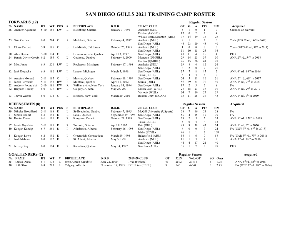 San Diego Gulls 2021 Training Camp Roster