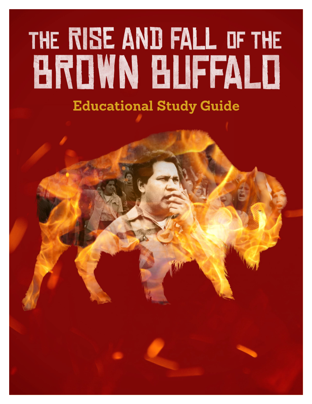 Educational Study Guide the Rise and Fall of the Brown Buffalo Educational Study Guide 2