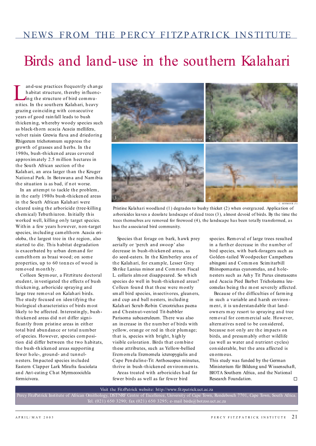 Birds and Land-Use in the Southern Kalahari