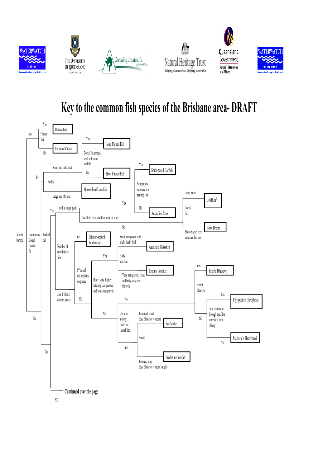 Key to the Common Fish Species of the Brisbane Area- DRAFT