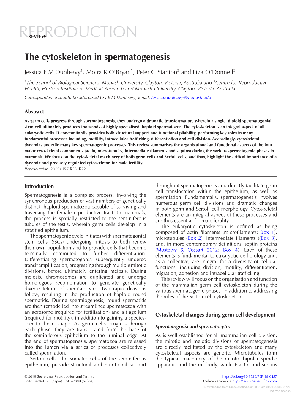 The Cytoskeleton in Spermatogenesis