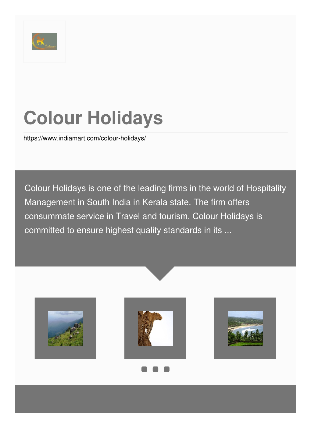 Colour Holidays