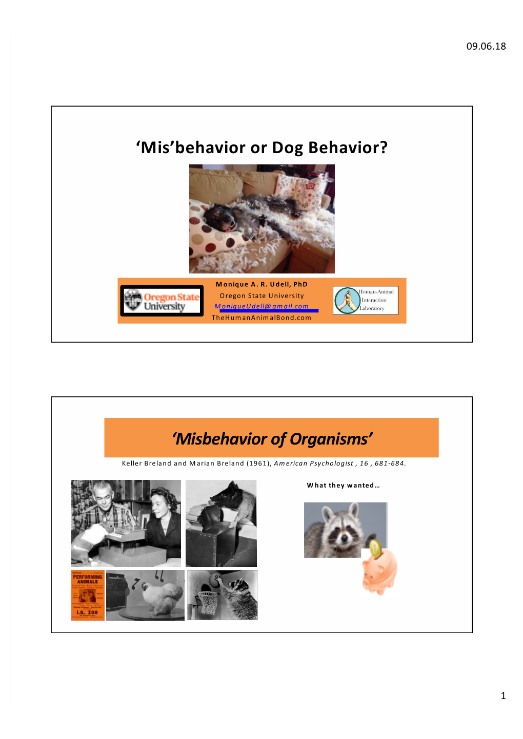 'Mis'behavior Or Dog Behavior?