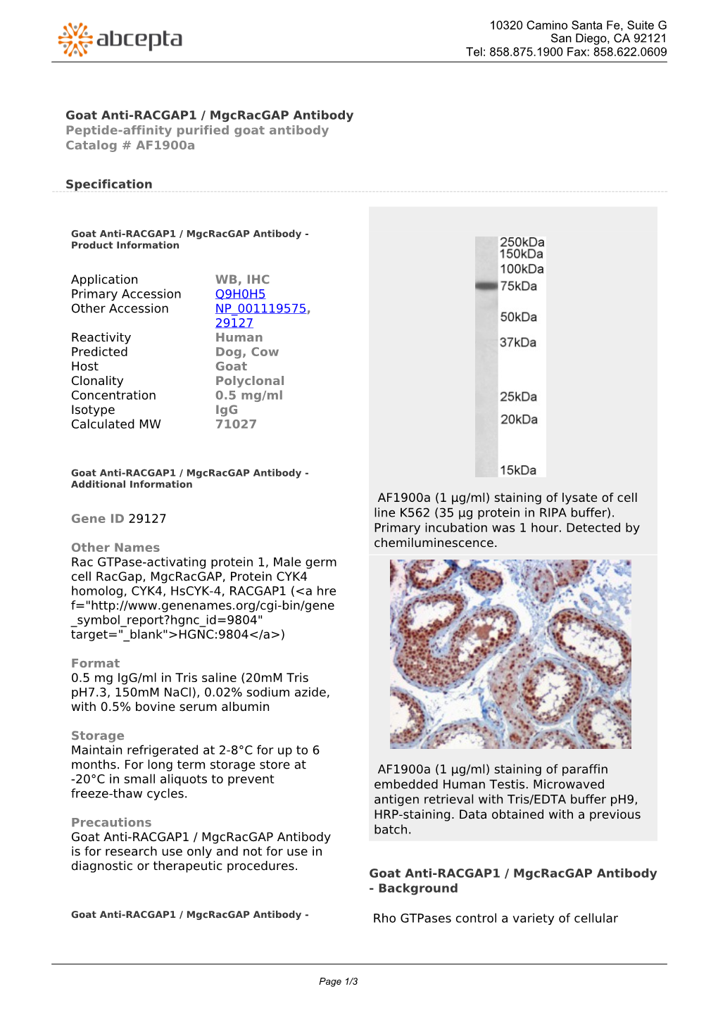 Goat Anti-RACGAP1 / Mgcracgap Antibody Peptide-Affinity Purified Goat Antibody Catalog # Af1900a