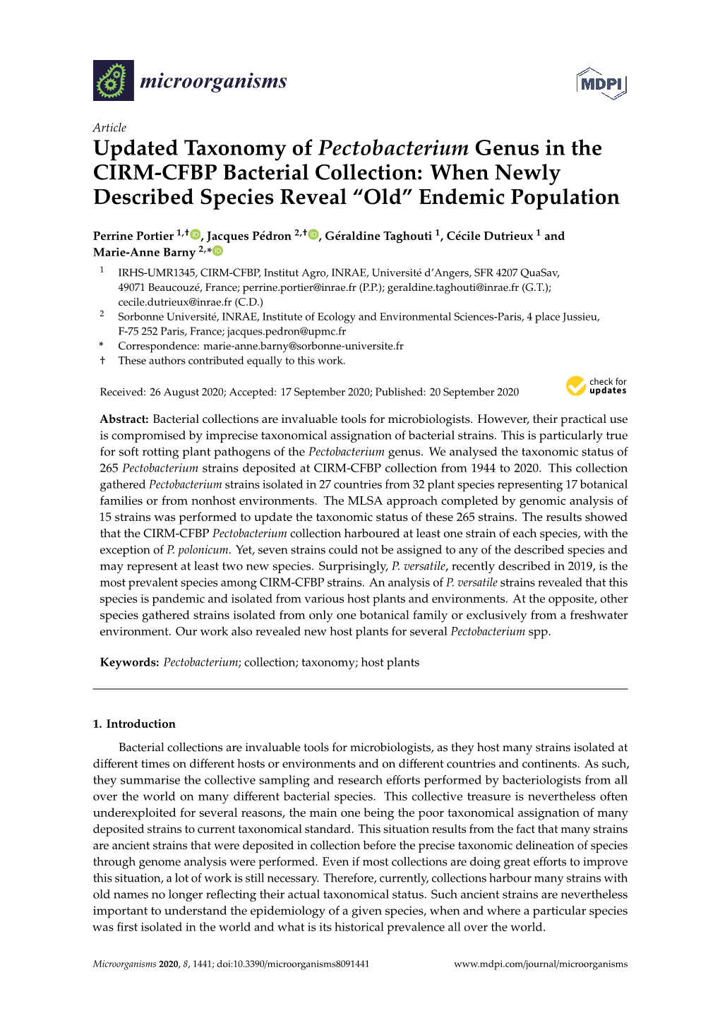 Updated Taxonomy of Pectobacterium Genus in the CIRM-CFBP Bacterial Collection: When Newly Described Species Reveal “Old” Endemic Population