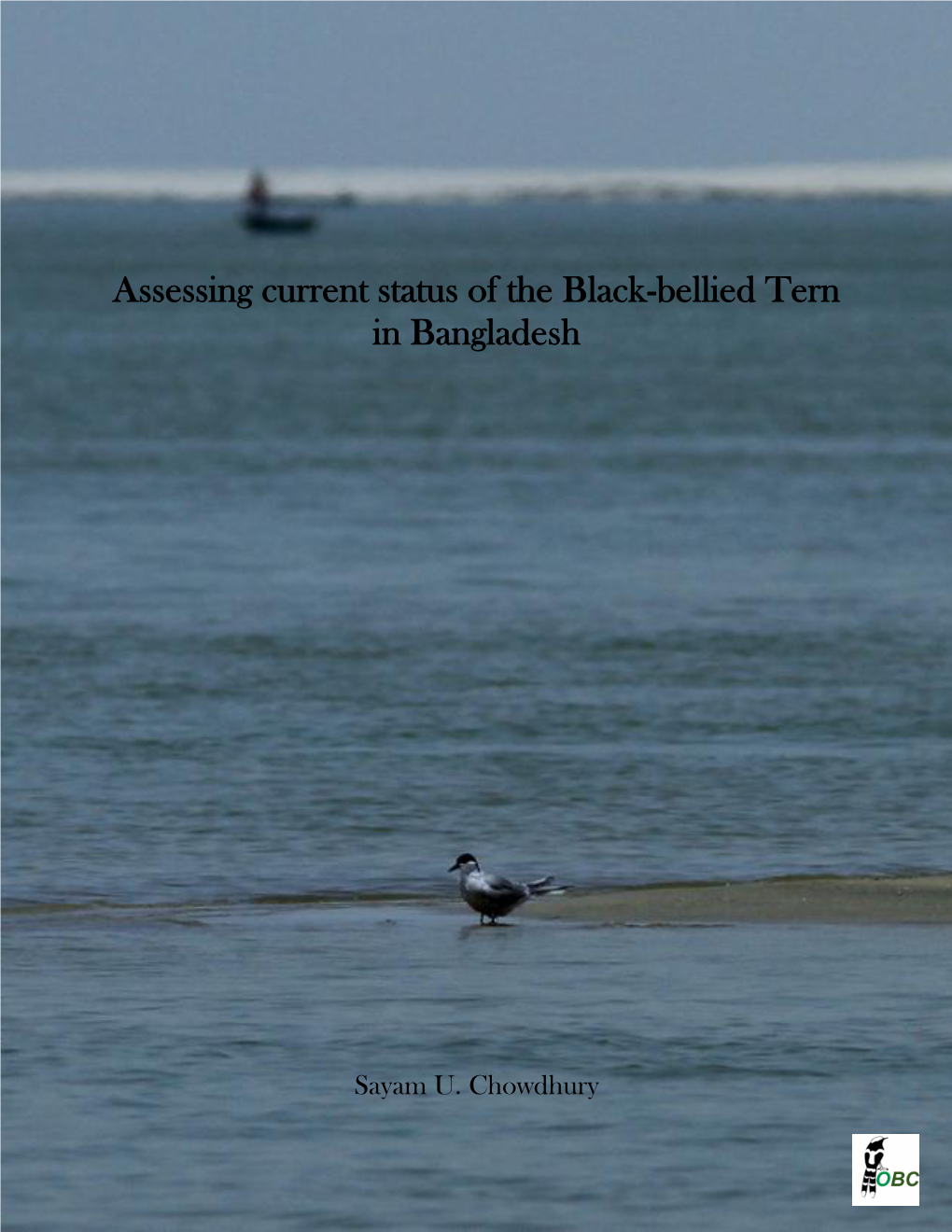 Assessing Current Status of the Black-Bellied Tern in Bangladesh