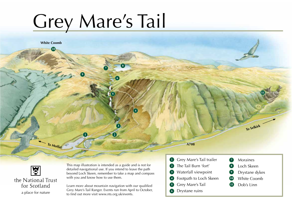 Grey Mare's Tail