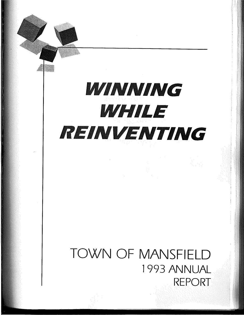 Mansfield-1993.Pdf (13.62Mb)