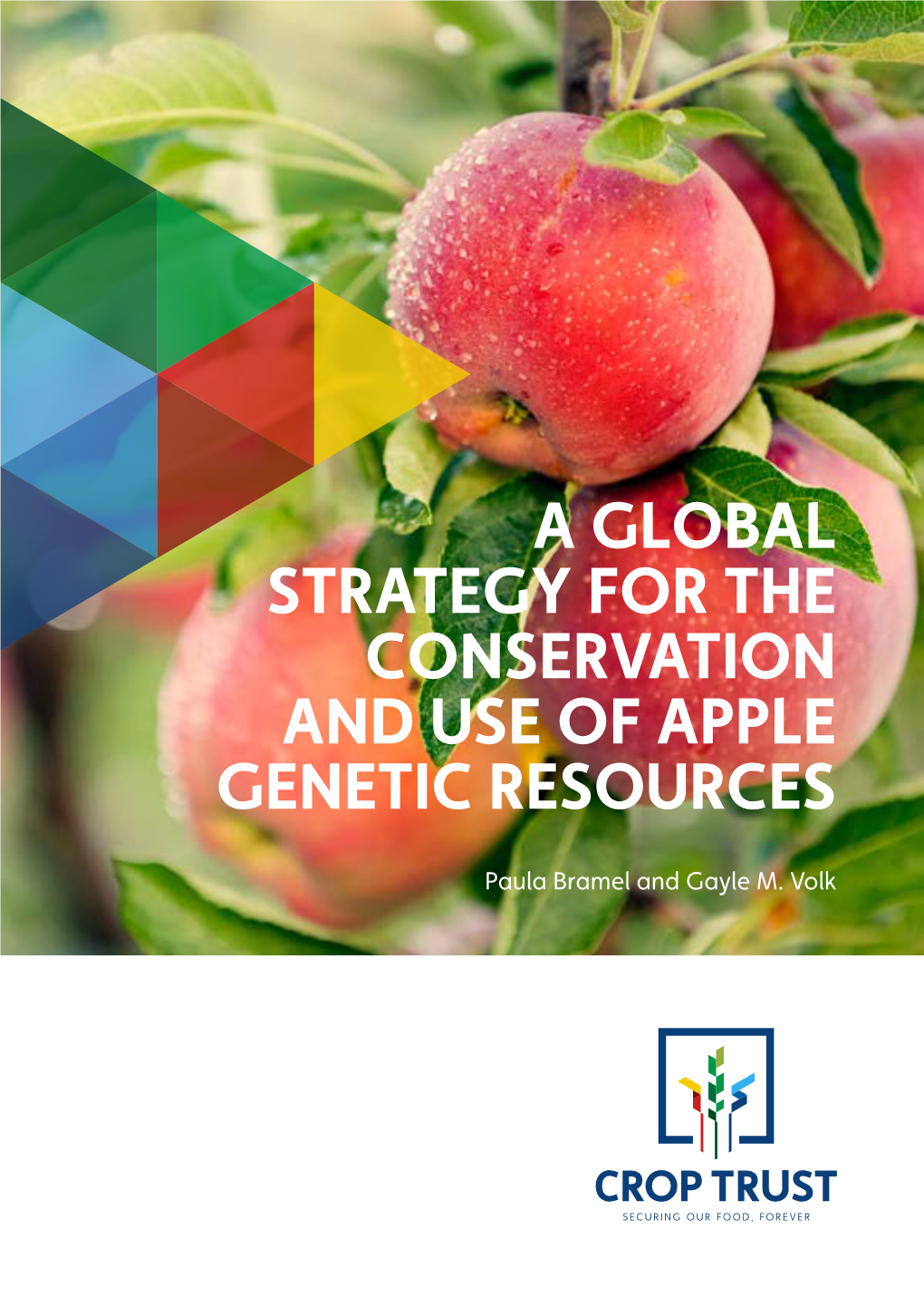 A Global Strategy for the Conservation and Use of Apple Genetic Resources