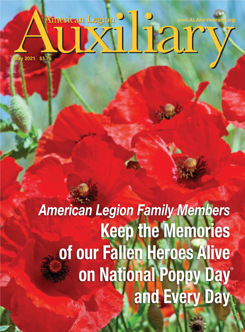 Keep the Memories of Our Fallen Heroes Alive on National Poppy Day® and Every Day