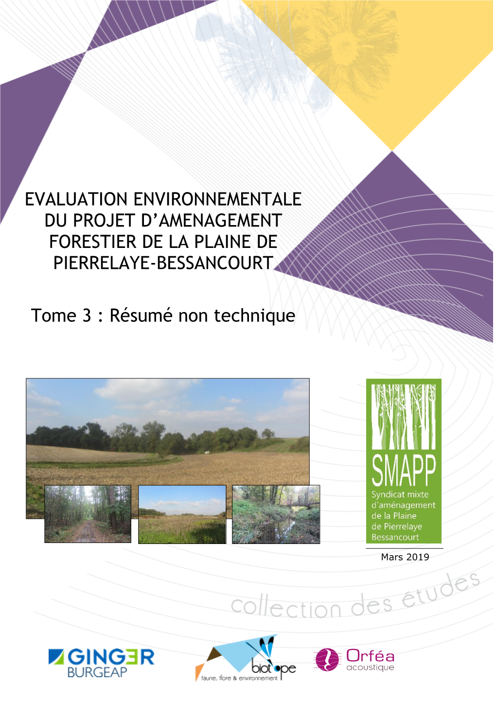 Evaluation Environnementale Du Projet D’Amenagement Forestier De La Plaine De Pierrelaye-Bessancourt