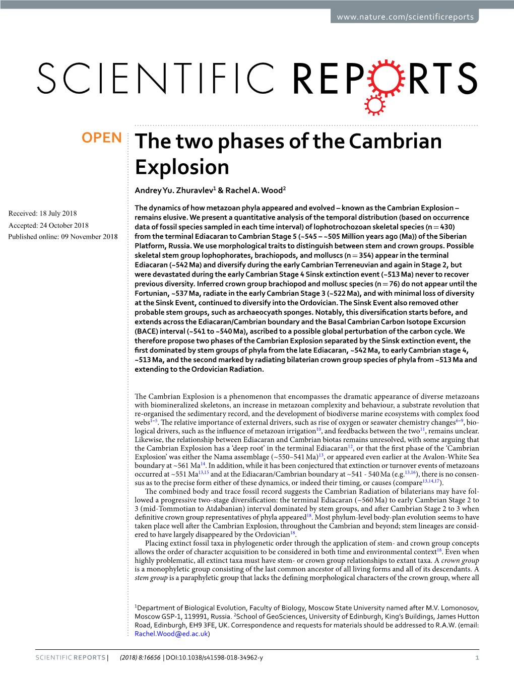 The Two Phases of the Cambrian Explosion Andrey Yu