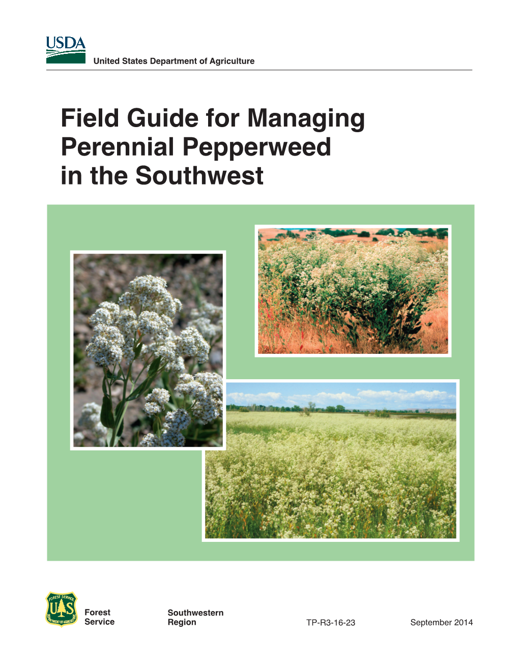 Field Guide for Managing Perennial Pepperweed in the Southwest