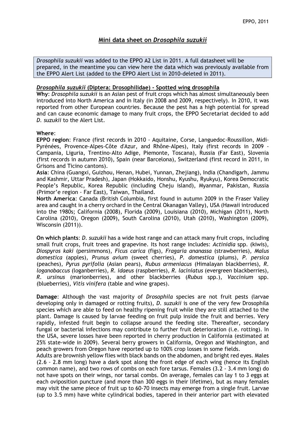 Mini Data Sheet on Drosophila Suzukii
