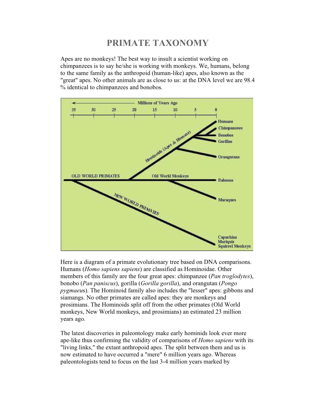 Primate Taxonomy