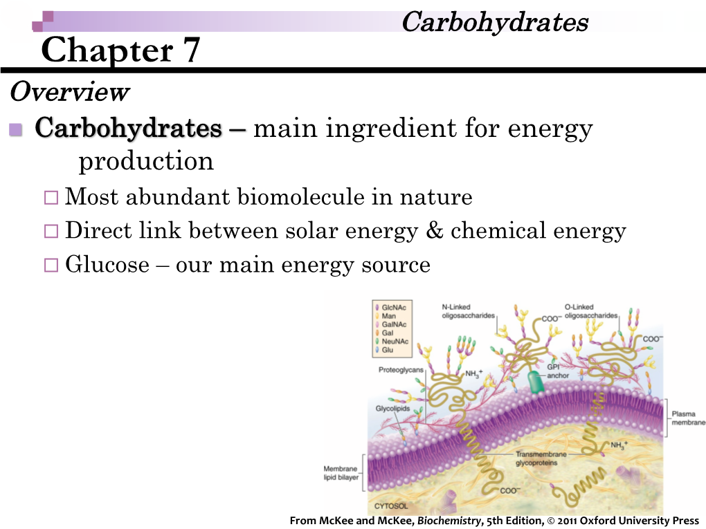 Chapter 7 Slides.Pdf