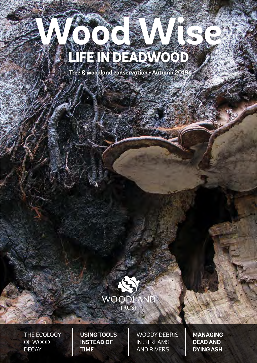 LIFE in DEADWOOD Tree & Woodland Conservation • Autumn 2019