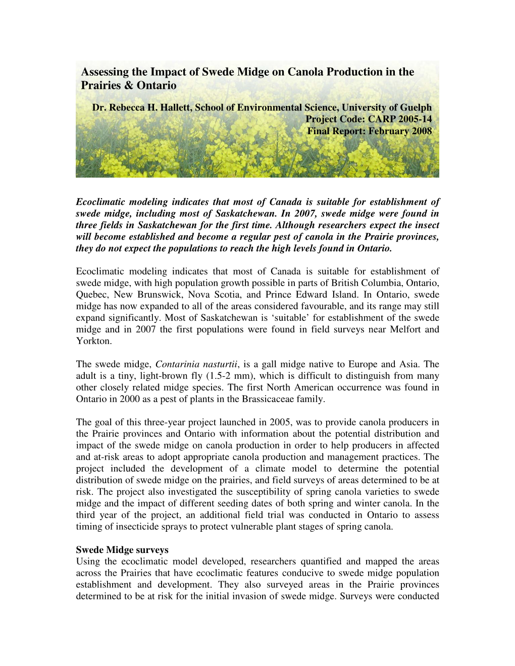 Assessing the Impact of Swede Midge on Canola Production in The