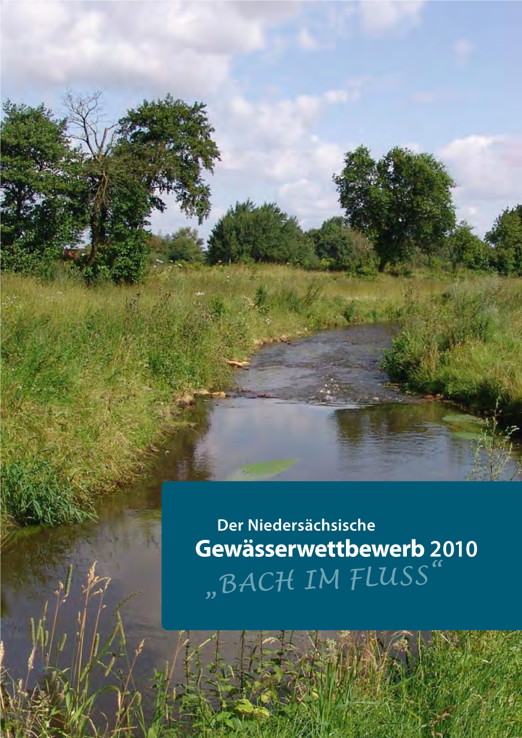 Bach Im Fluss 2010