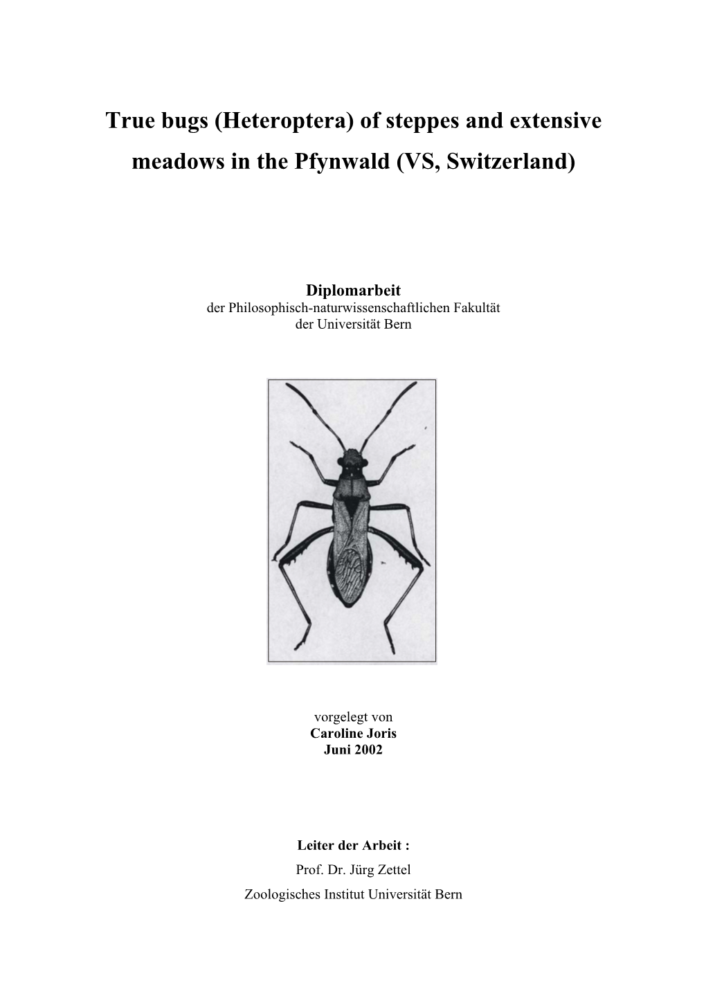 True Bugs (Heteroptera) of Steppes and Extensive Meadows in the Pfynwald (VS, Switzerland)