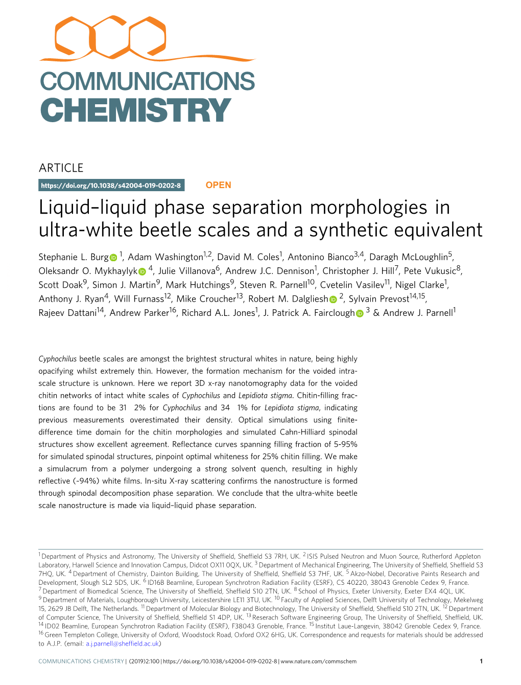 Liquid Phase Separation Morphologies in Ultra-White Beetle Scales and a Synthetic Equivalent