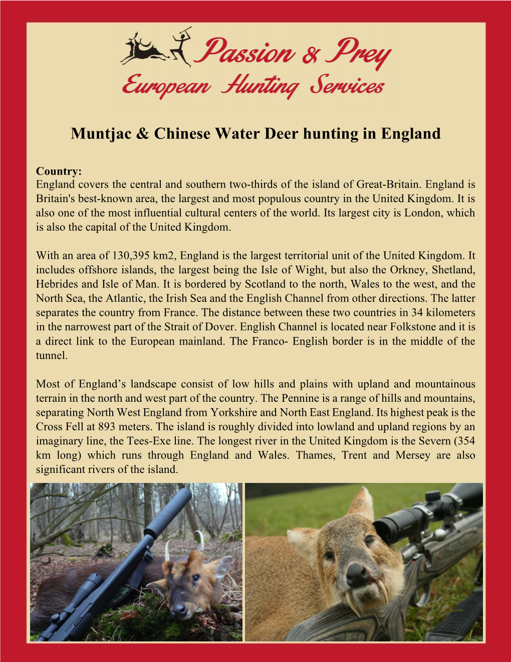 Muntjac & Chinese Water Deer Hunting in England