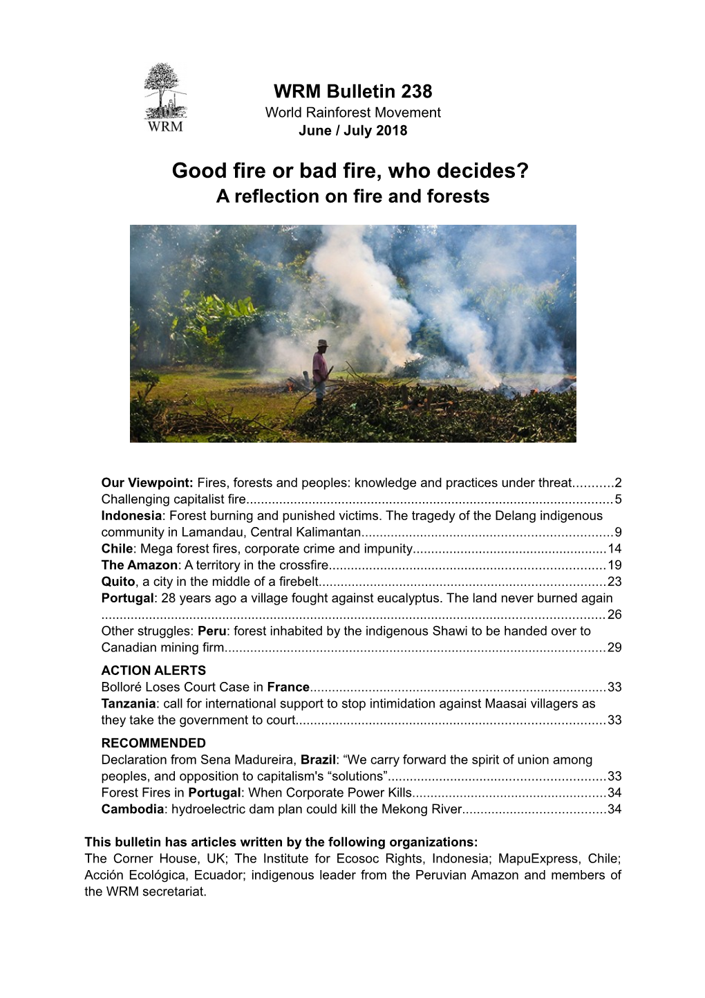 Good Fire Or Bad Fire, Who Decides? a Reflection on Fire and Forests