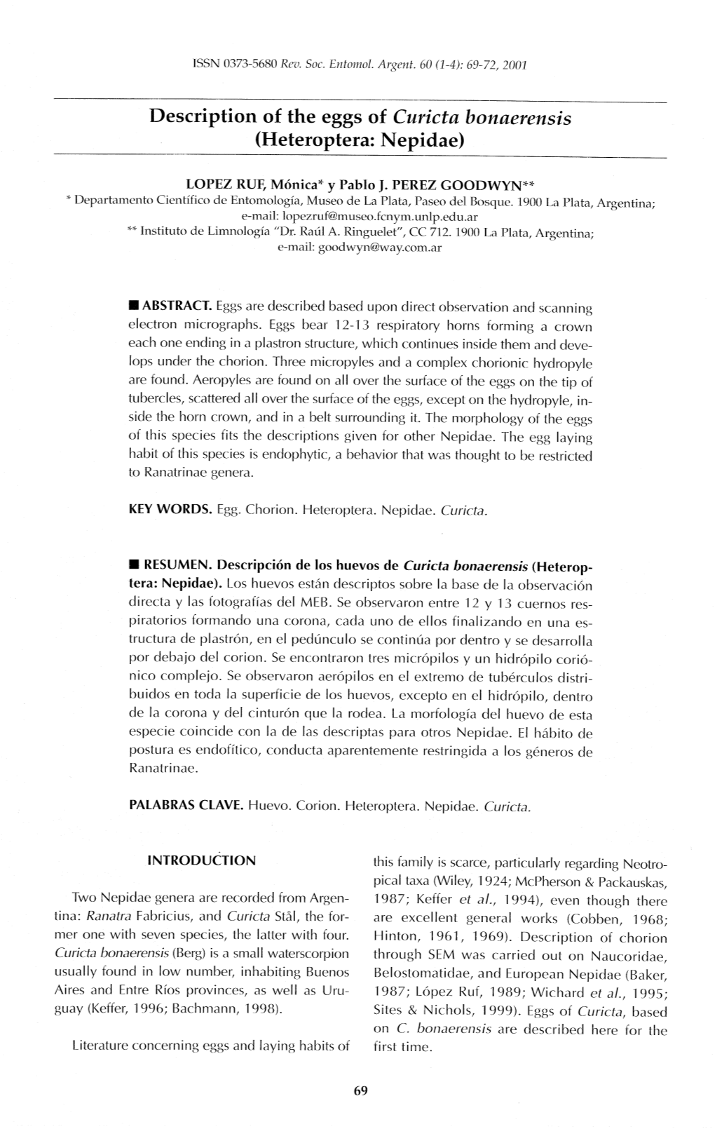 Description of the Eggs of Curicta Bonaerensis (Heteroptera: Nepidae)