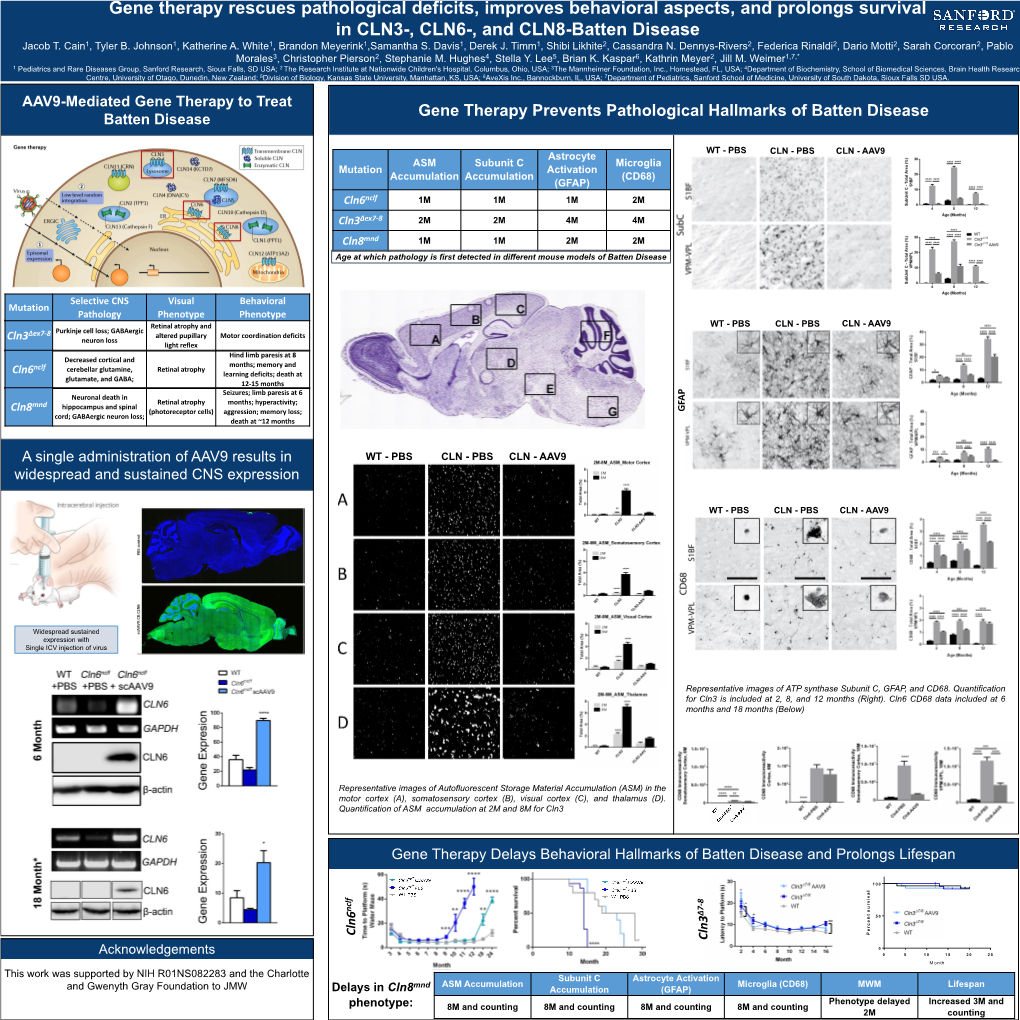 Gene Therapy Rescues Pathological Deficits, Improves Behavioral Aspects, and Prolongs Survival in CLN3-, CLN6-, and CLN8-Batten Disease Jacob T