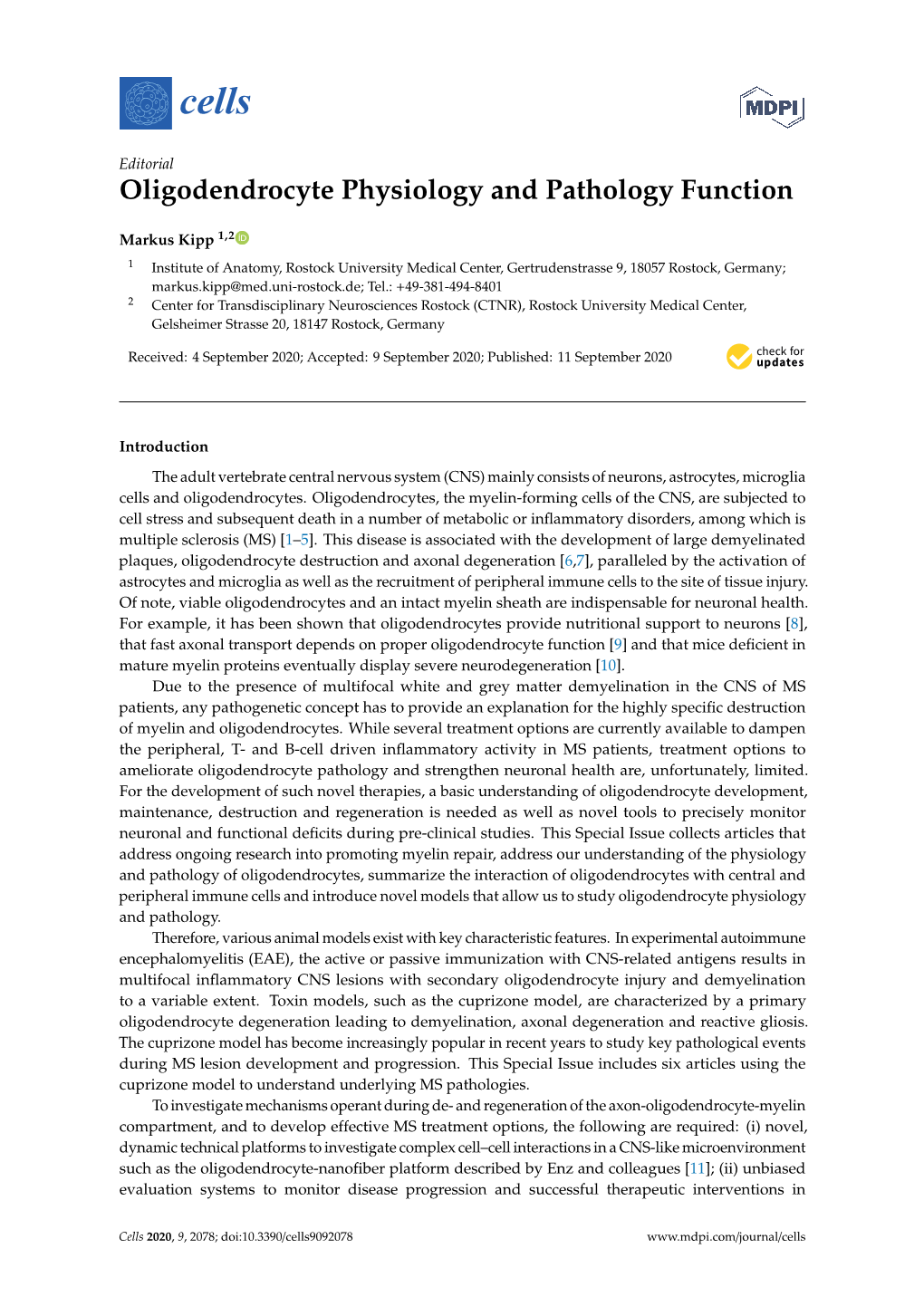 Oligodendrocyte Physiology and Pathology Function