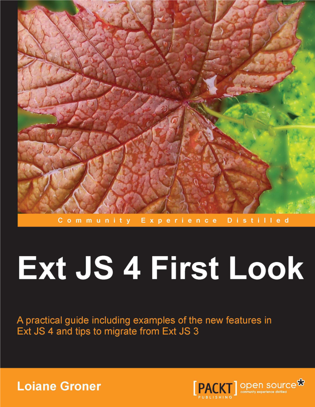 Ext JS 4 First Look