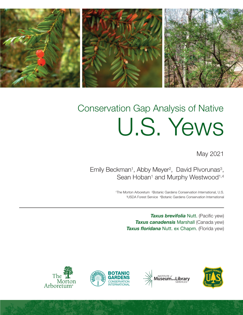 Conservation Gap Analysis of Native US Yews