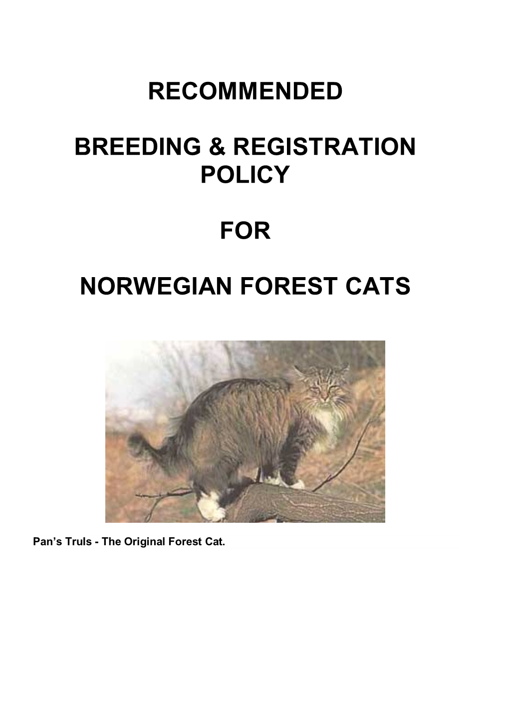 The Norwegian Forest Cat