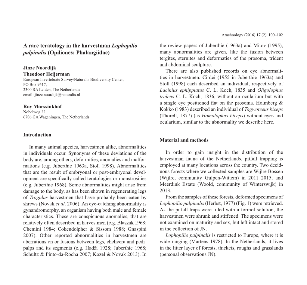 A Rare Teratology in the Harvestman Lophopilio Palpinalis (Opiliones