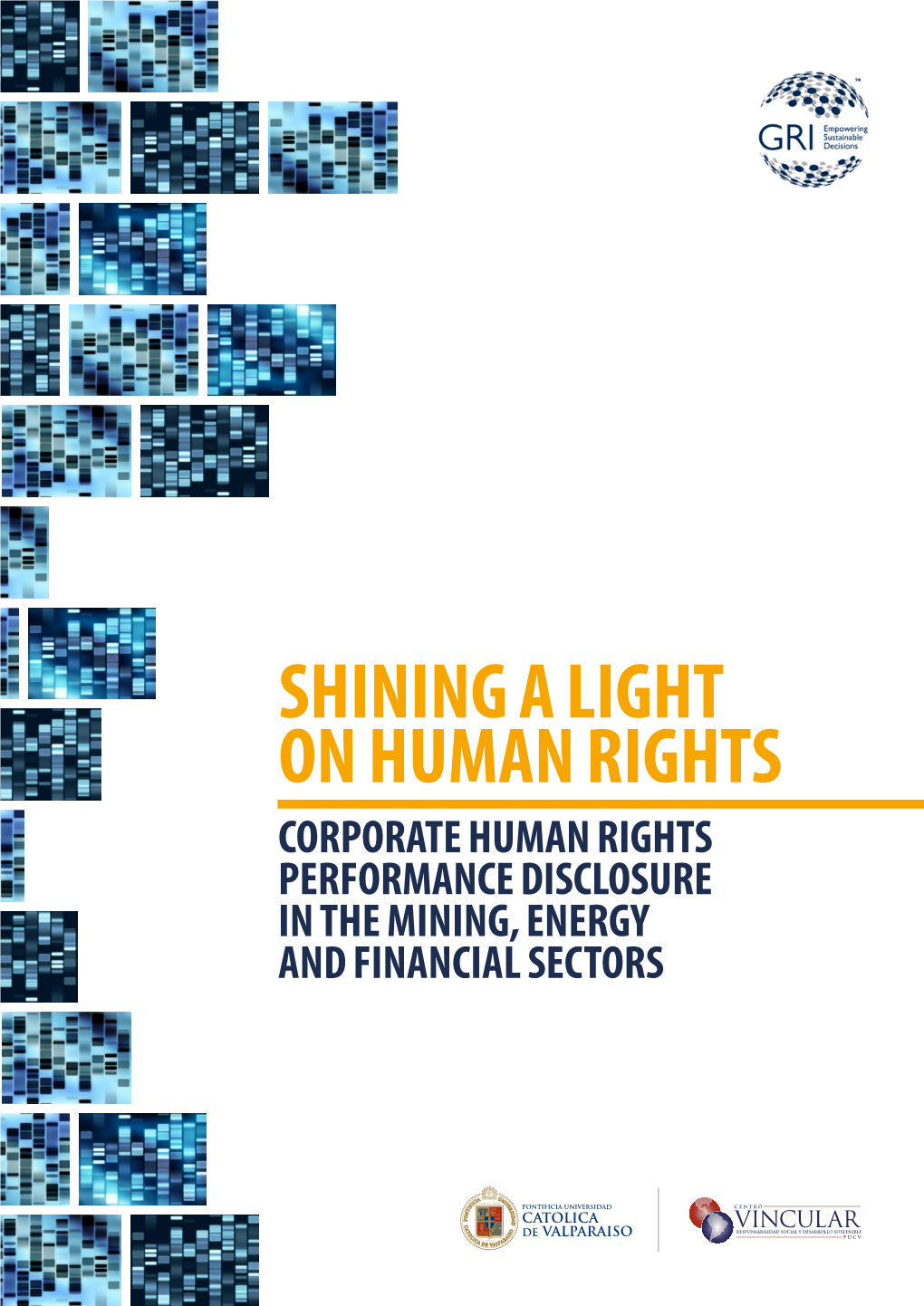 Corporate Human Rights Performance Disclosure in the Mining, Energy and Financial Sectors