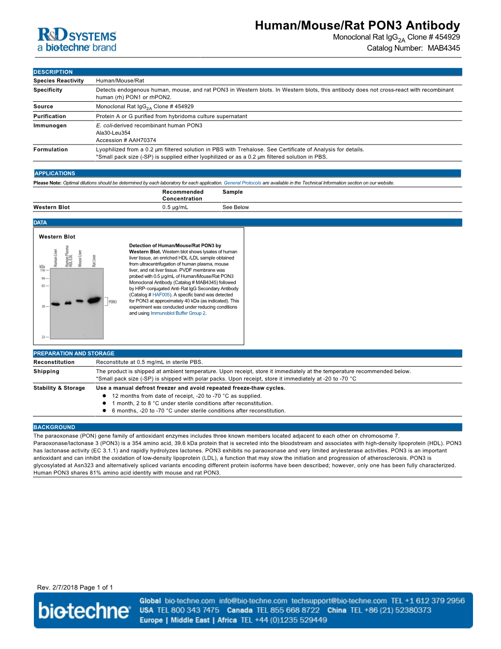 Human/Mouse/Rat PON3 Antibody