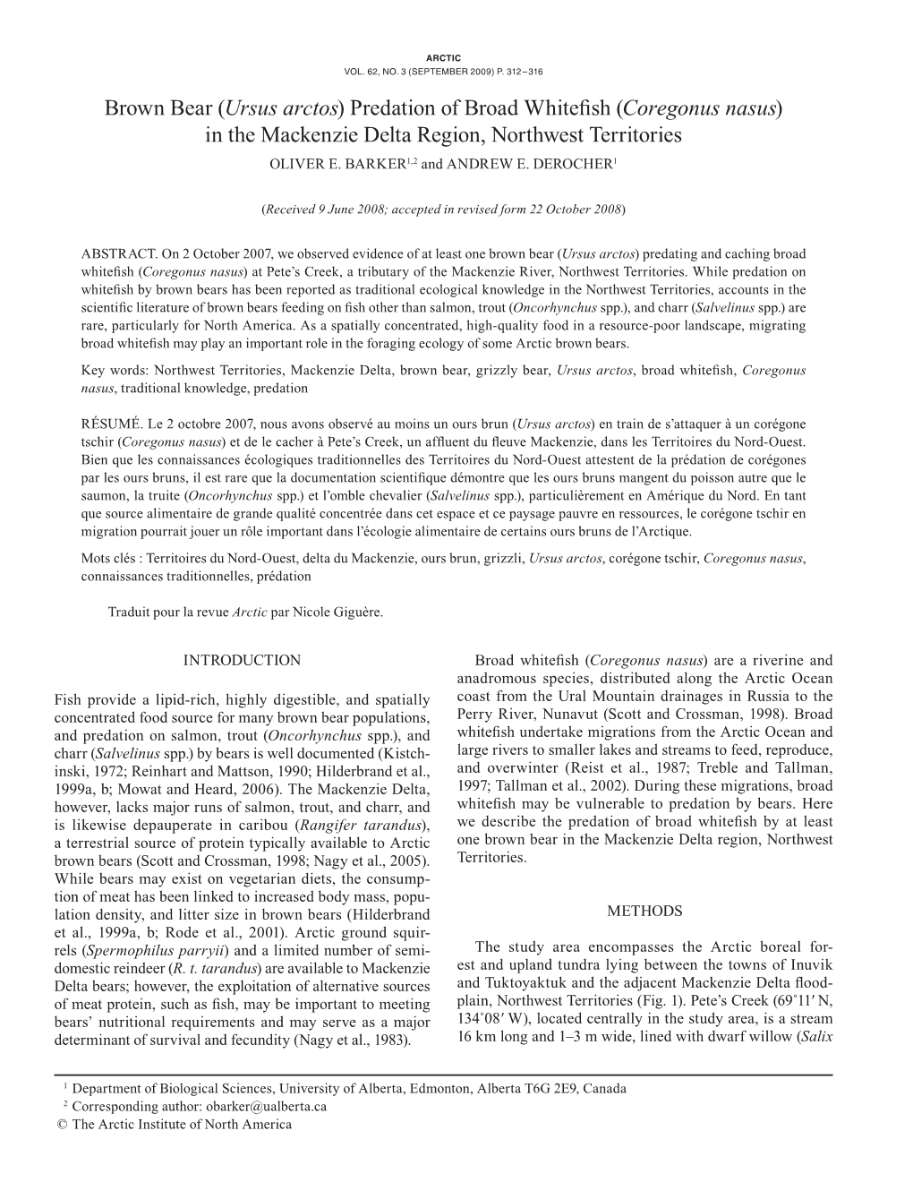 Brown Bear (Ursus Arctos) Predation of Broad Whitefish (Coregonus Nasus) in the Mackenzie Delta Region, Northwest Territories