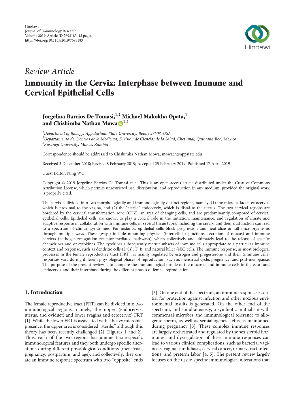 Interphase Between Immune and Cervical Epithelial Cells