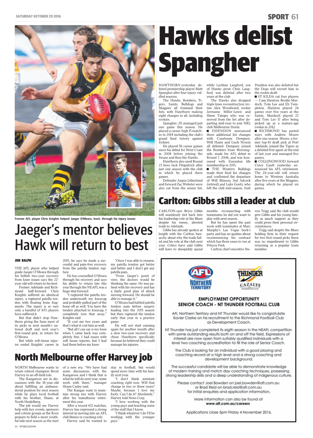 Jaeger's Mentor Believes Hawk Will Return to Best