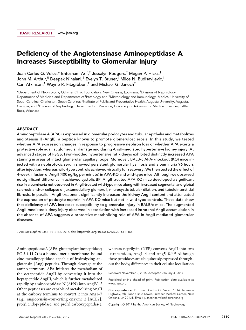Deficiency of the Angiotensinase Aminopeptidase a Increases