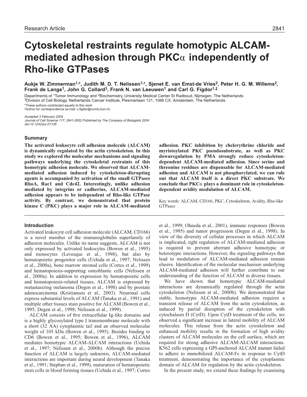 Mediated Adhesion Through Pkcα Independently of Rho-Like Gtpases