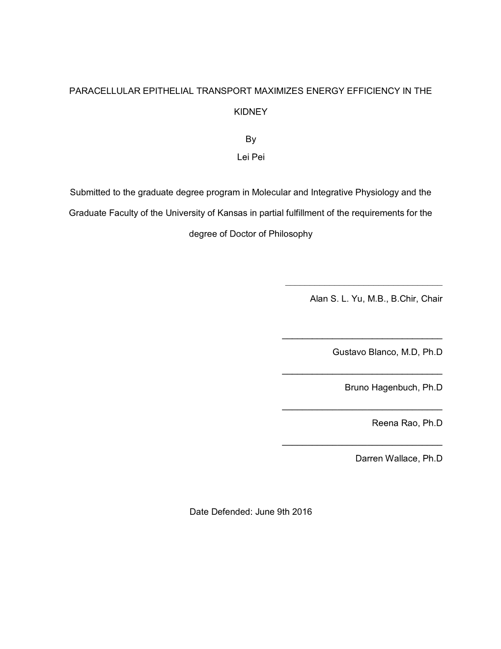 Paracellular Epithelial Transport Maximizes Energy Efficiency in The