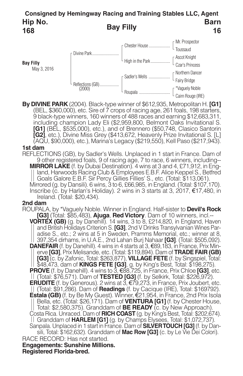 Bay Filly Barn 16 Hip No