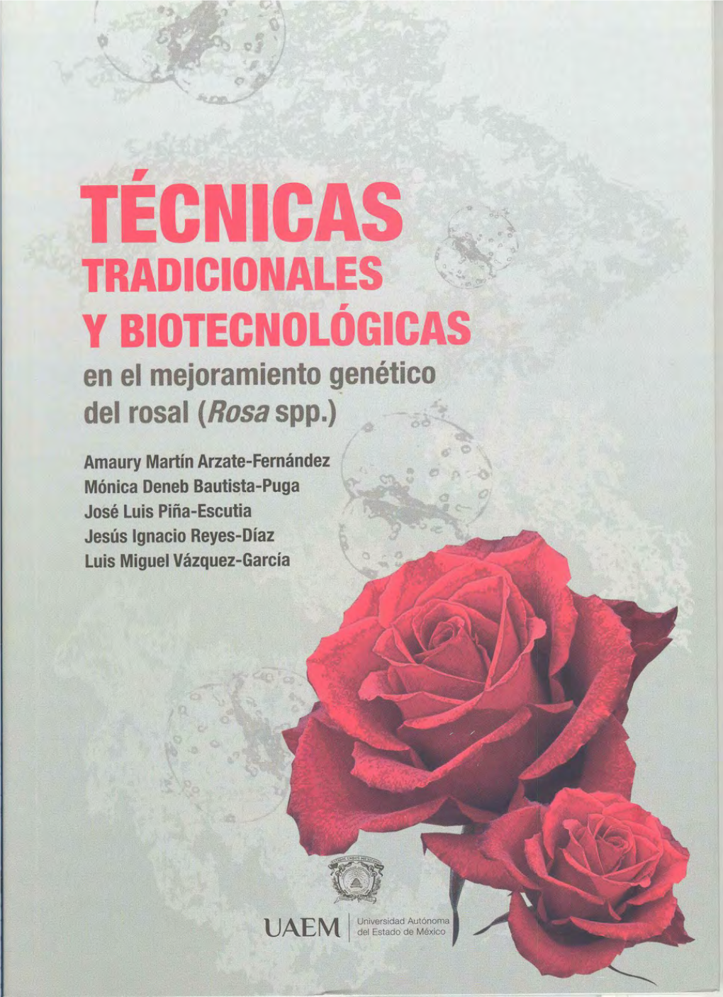 Técnicas Rosal.Pdf