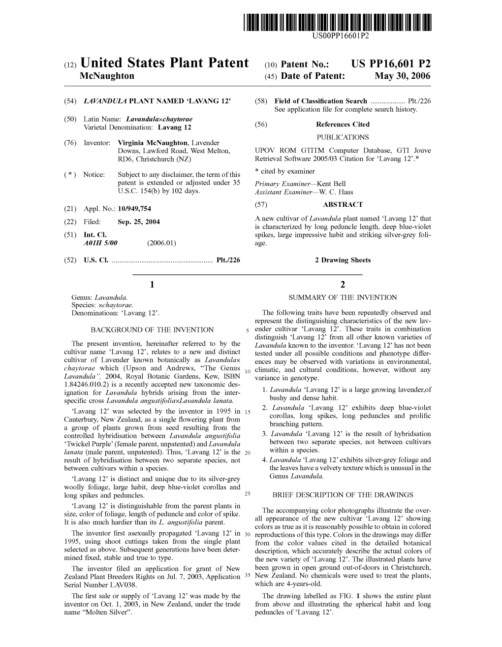 (12) United States Plant Patent (10) Patent No.: US PP16,601 P2 Mcnaughton (45) Date of Patent: May 30, 2006