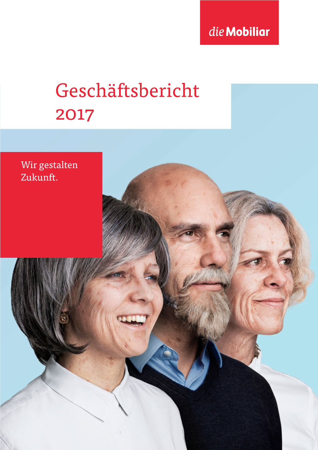 Geschäftsbericht 2017