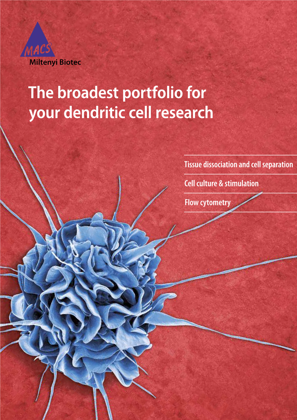 Dendritic Cells