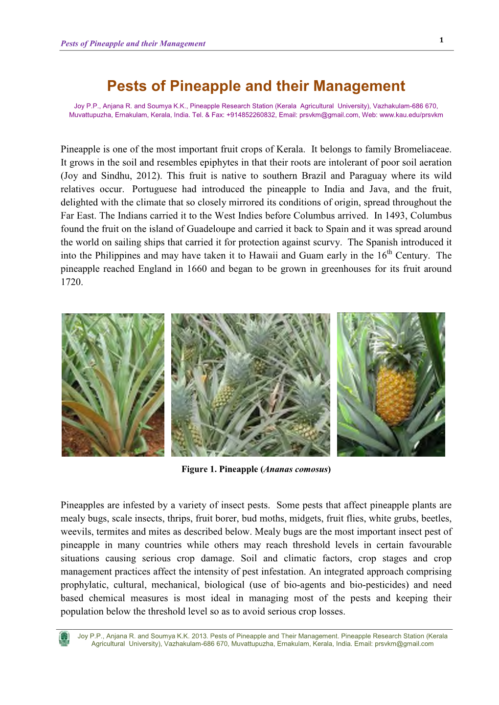 Pests of Pineapple and Their Management