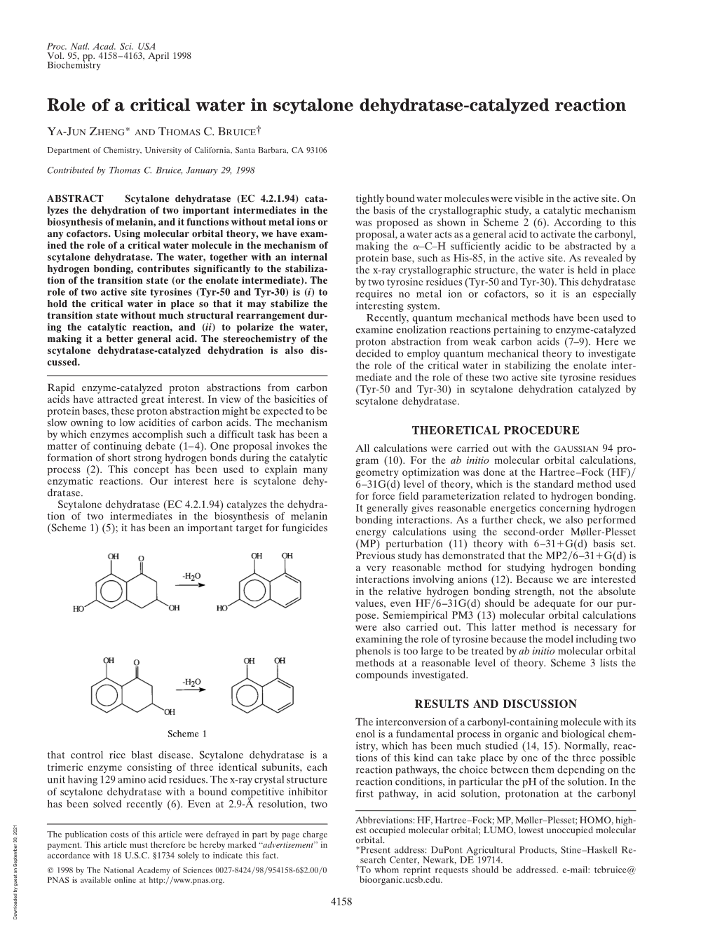 Role of a Critical Water in Scytalone Dehydratase-Catalyzed Reaction