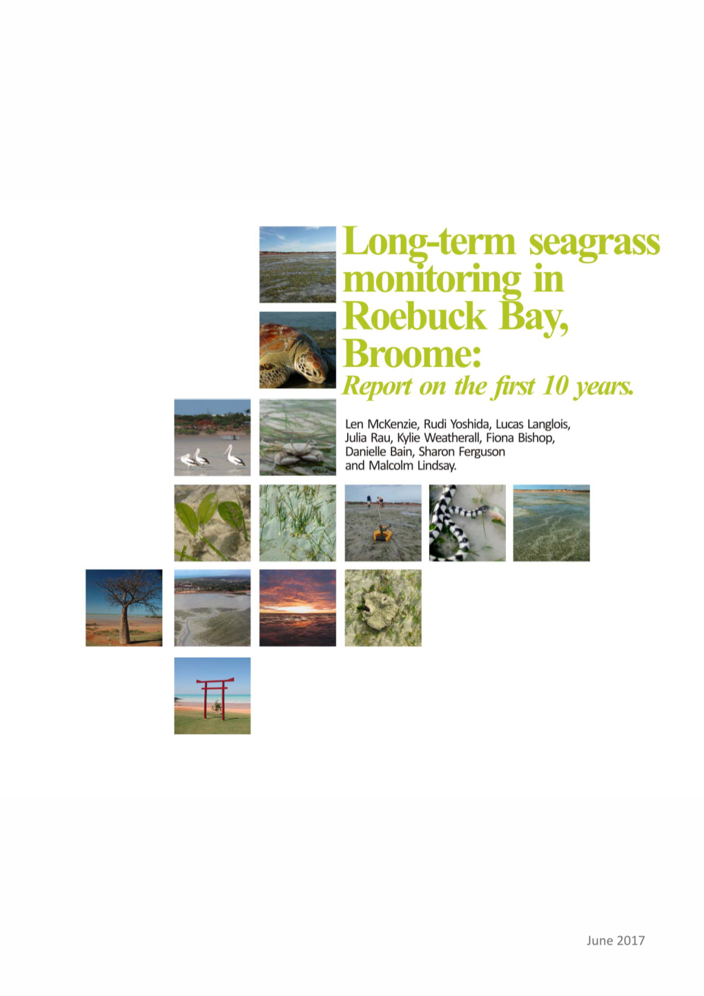 Long-Term Seagrass Monitoring in Roebuck Bay, Broome